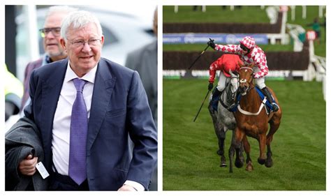 cheltenham results for today|cheltenham live results today.